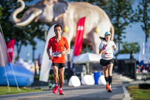 BIB: 
                            <button type="button" onclick="openModal(26541388)" class="btn btn-primary btn-sm float-right btn-popup" data-toggle="modal" data-target=".modal-high-quality">
                        <i class="fas fa-shopping-cart"></i> Add to Cart
                    </button>
                                            <button type="button" onclick="isThisMe(26541388, true)" class="btn btn-success btn-sm float-right btn-popup btn-isme hidden" data-toggle="tooltip" data-placement="bottom" title="นี่คือรูปของคุณใช่ไหม คลิกที่นี่เพื่อเอาเข้าอัลบั้ม">
                        <i class="fas fa-plus"></i> Add to album
                    </button>
                    <button type="button" onclick="isThisMe(26541388, false)" class="btn btn-warning btn-sm float-right btn-popup btn-isnotme hidden">
                        <i class="fas fa-ban"></i> Remove from album
                    </button>